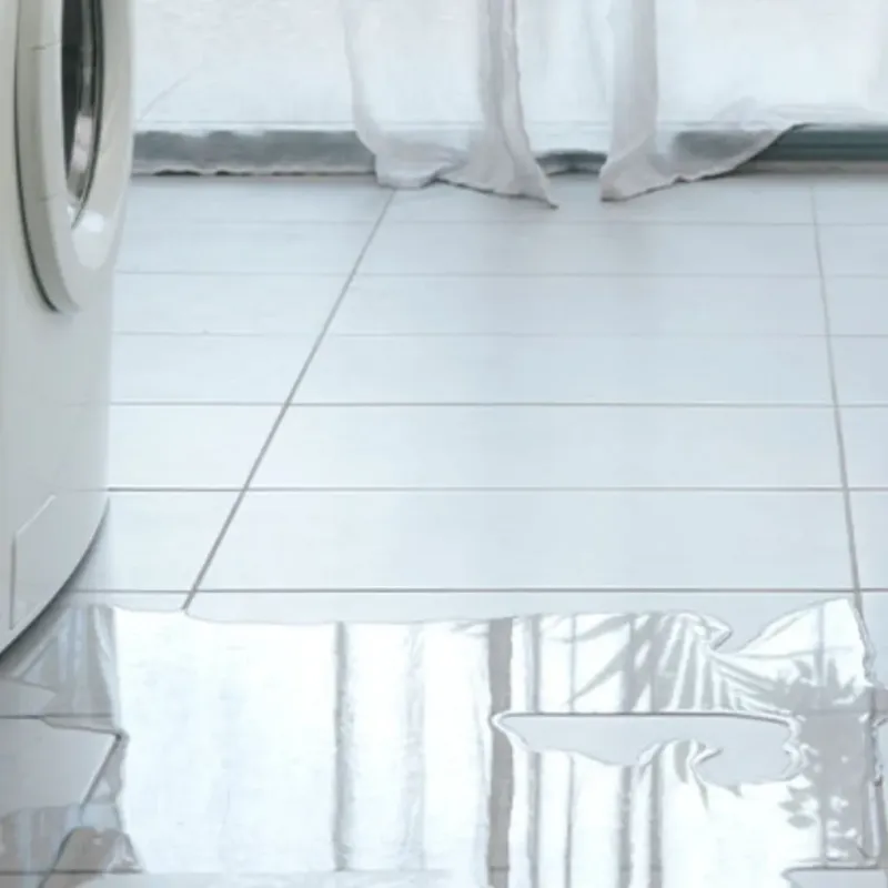Appliance Leak Cleanup in Sheridan, CA
